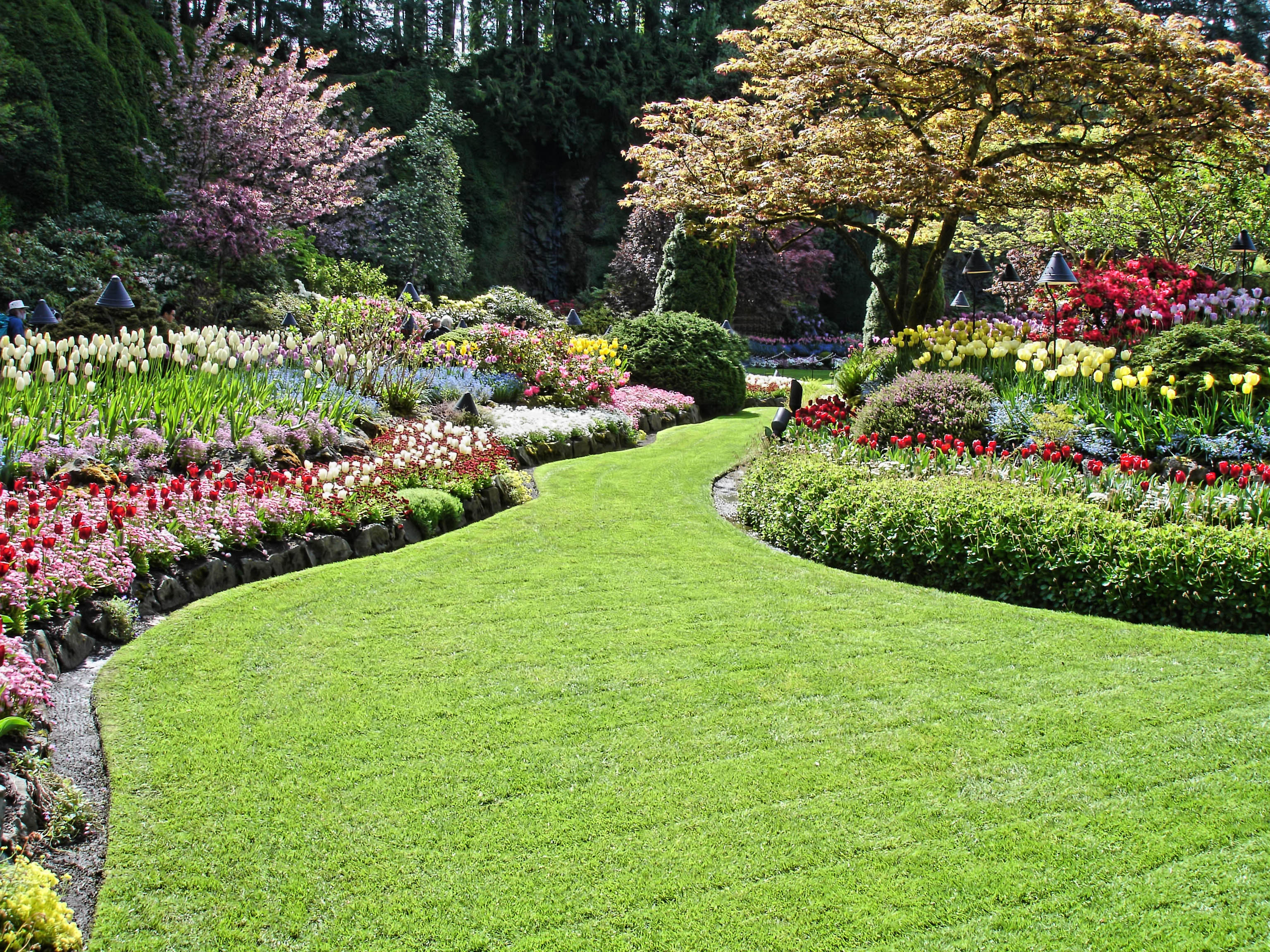 Seek Effective Landscaping Design, Installation, and Lawn Maintenance