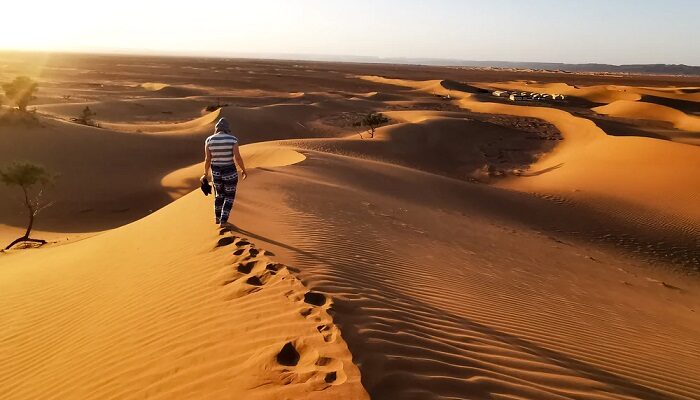 Solitude And Primeval Wilderness-Lonely Sand Dunes of Glamis