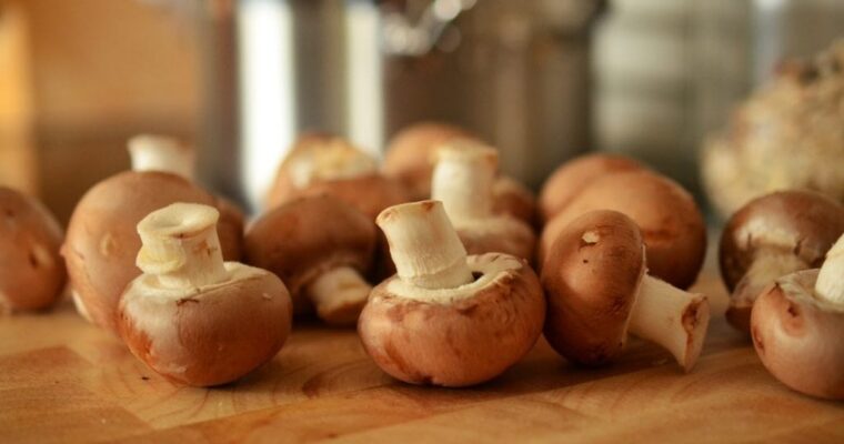 5 Things to Know Before You Start Taking Mushroom Extract for Better Health