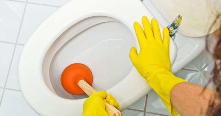 DIY Plumbing How to Effectively Deal with a Blocked Toilet