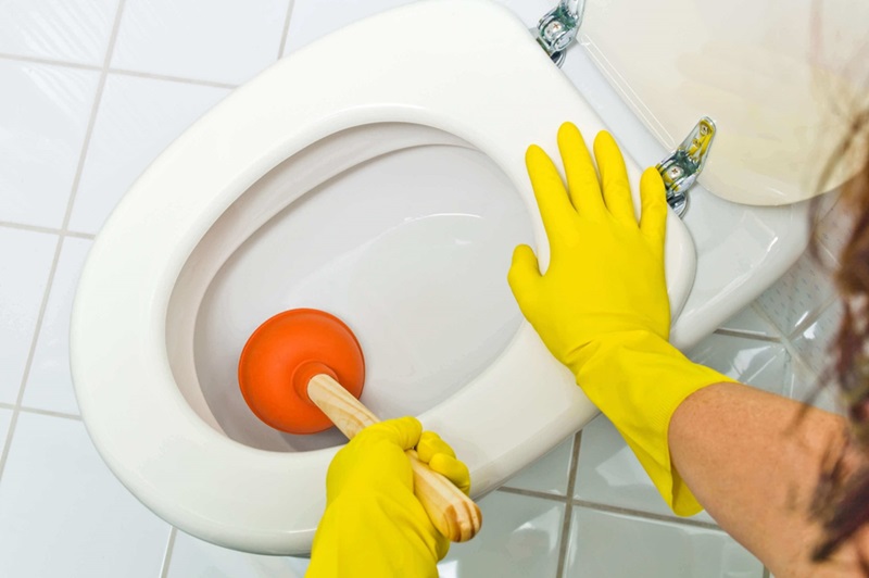 DIY Plumbing How to Effectively Deal with a Blocked Toilet