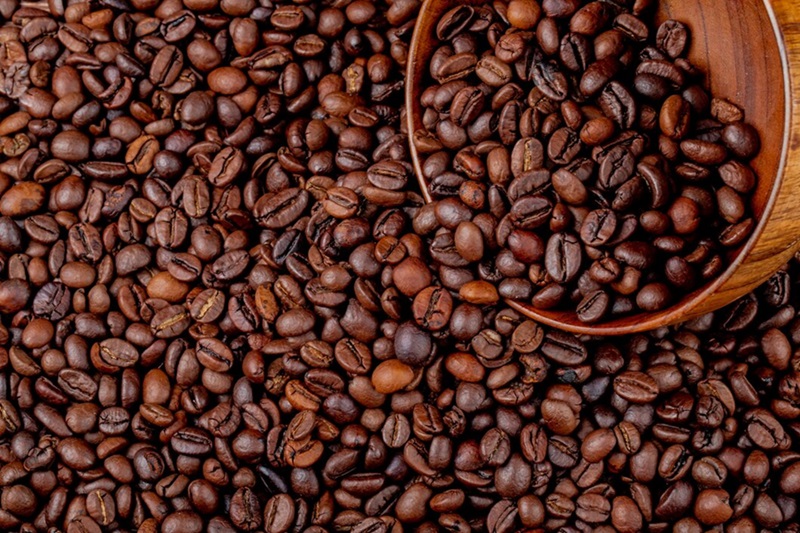 The Complete Connoisseur’s Guide to Selecting Superior Organic Coffee Beans