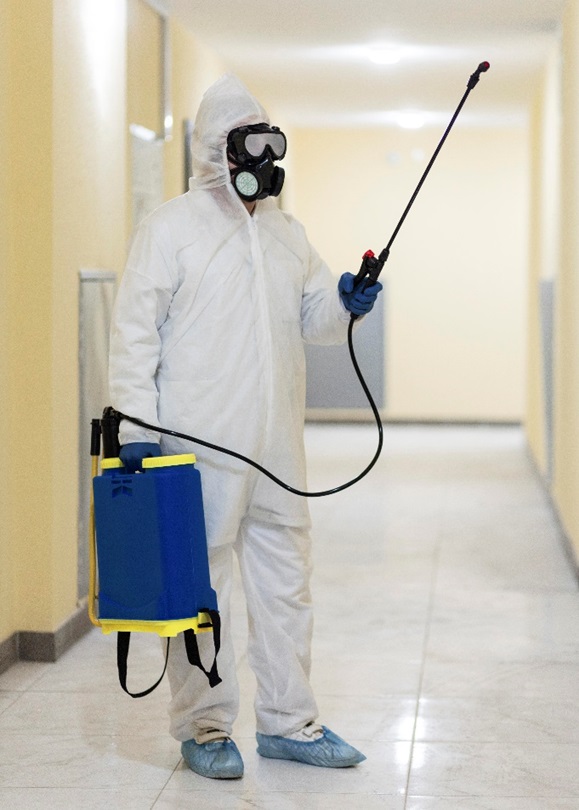 What to Expect from Professional Pest Control Services