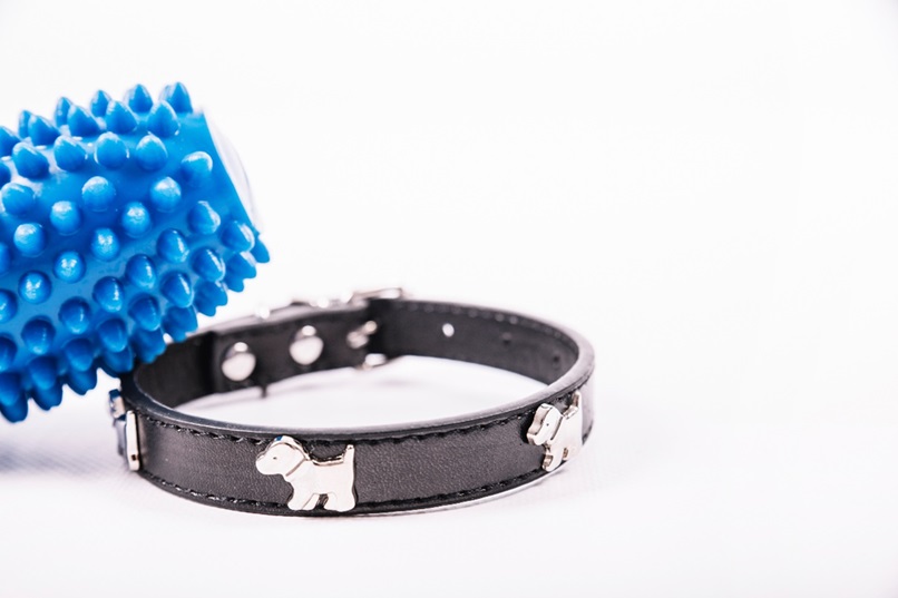 PVC Dog Collars